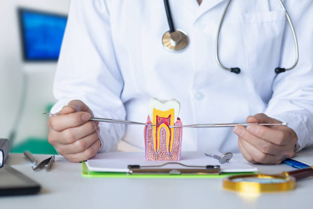 Best Pediatric Emergency Dentist in Millersville, TN
